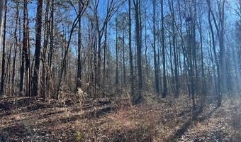 CREEK ROAD lot 0, Ashland, AL 36251