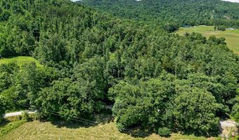 192 Puncheon Creek Ln, Allred, TN 38542