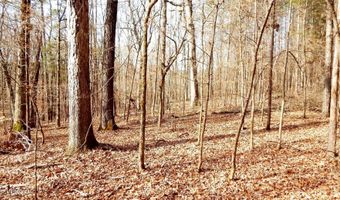 504 247 Country Rd, Bruce, MS 38915