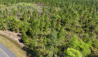 NW Miller Road, Altha, FL 32421