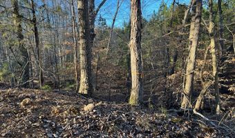 Stockdale Circle, Big Sandy, TN 38221