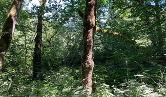 NE 197th Ct, Amboy, WA 98601