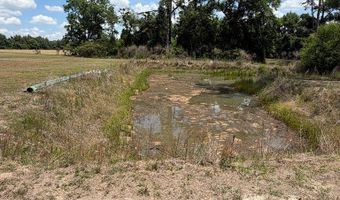 916 NE Robinson Rd - Tract 2, Barney, GA 31625