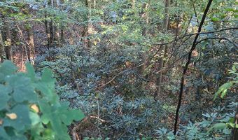Lords Way, Andrews, NC 28901