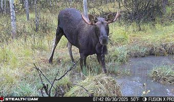 Tract A, Anaconda, MT 59711