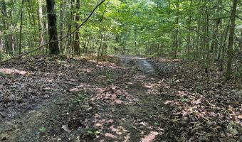 Cr 244, Abbeville, MS 38601