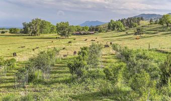8241 N Foothills Hwy, Boulder, CO 80302
