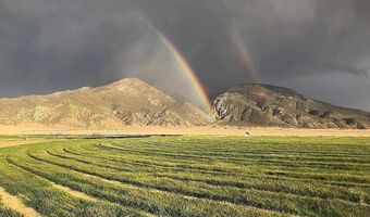 1002 US HWY 6 16, Dyer, NV 89010