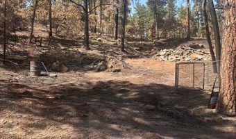 9087 S Pine Dr, Beulah, CO 81023