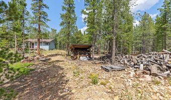 20 Paint Brush Dr, Black Hawk, CO 80422