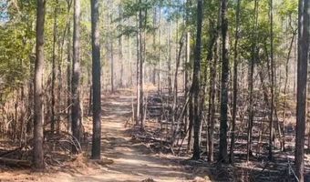 Highway 9N, Banner, MS 38913
