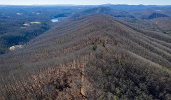 Stoots Mountain Rd. lot 31-A-109, Austinville, VA 24312