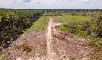 R53358 Tract 2 Hwy 94, Apple Springs, TX 75926