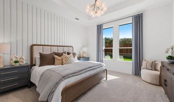 309 Deer Ridge Dr Plan: Basswood II, Aledo, TX 76008