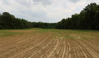 0 County Road 259, Advance, MO 63730