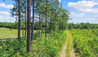 5840 Green Swamp Rd NW, Ash, NC 28420