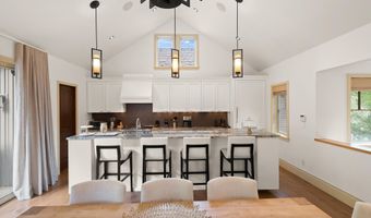 509 W Hopkins Ave, Aspen, CO 81611