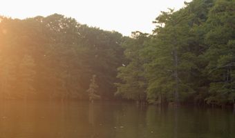 Bolivar Road, Benoit, MS 38725