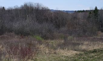 295 Shellstone Rd, Amsterdam, NY 12010