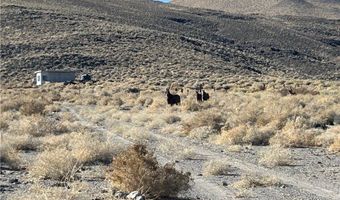 SAND SPRINGS Road, Dyer, NV 89010