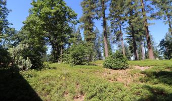 2812 Alpine Way, Arnold, CA 95223