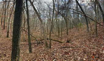 Farm Rd 1187 Lc, Ash Grove, MO 65604