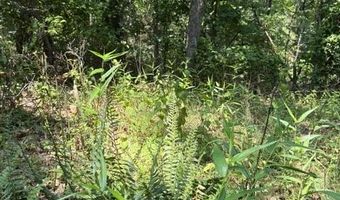 FOX RUN lot 24A 3.22 Ac, Baker, WV 26801