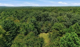 0001 E 1930 Rd, Antlers, OK 74523