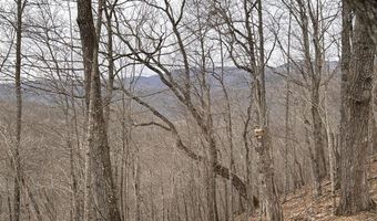 Toole Creek Road, Abingdon, VA 24210