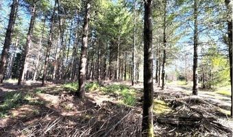 NW LODGE Rd, Banks, OR 97106