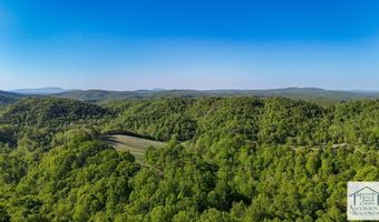 1619 Squirrel Creek Rd, Ararat, VA 24053