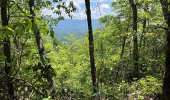 501 Clifftop Trl Lot 26, Andrews, NC 28901