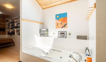 216 E Homestead Dr, Basalt, CO 81621
