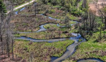 V/L W Chicago Road, Allen, MI 49227