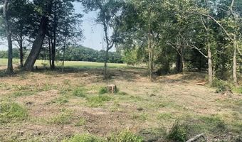 Lot 6 TBD County Road 1560, Alba, TX 75410