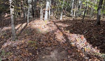 Hwy 9, Bruce, MS 38915