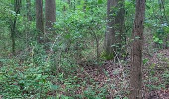 7700 Poole TRACT A, Alto, GA 30510