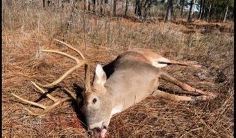 Highway 112, Abbeville, GA 31001