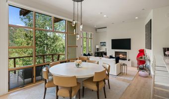 250 Mountain Laurel Dr B, Aspen, CO 81611