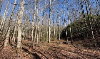 135 49ac Webb Creek Rd, Andrews, NC 28901