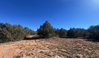96 CR3041, Concho, AZ 85924
