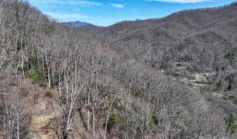 99999 Green Ridge Falls Rd 17, Barnardsville, NC 28709