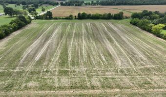 290 CR, Asbury, MO 64832