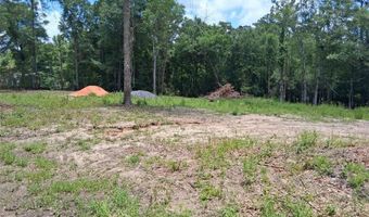 Dan Churchman Road, Axis, AL 36505