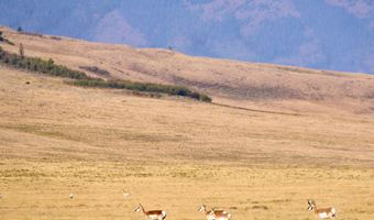 Sheep Mountain Road, Centennial, WY 82055