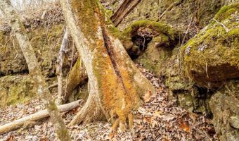 County Road 19-A, Alton, MO 65606