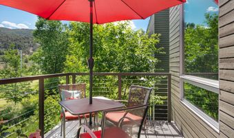 202 Evans Rd 202, Basalt, CO 81621