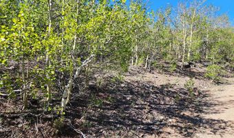 NHN Alpha Lode & Alpha Fraction Lode Alpha Trail, Anaconda, MT 59711