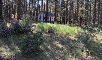 31583 Chicken Hawk Ln, Bonanza, OR 97623