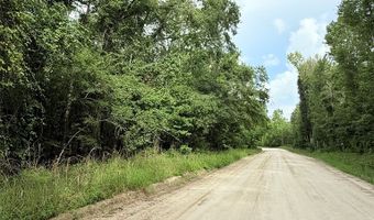 0000 73rd Way, Bell, FL 32619